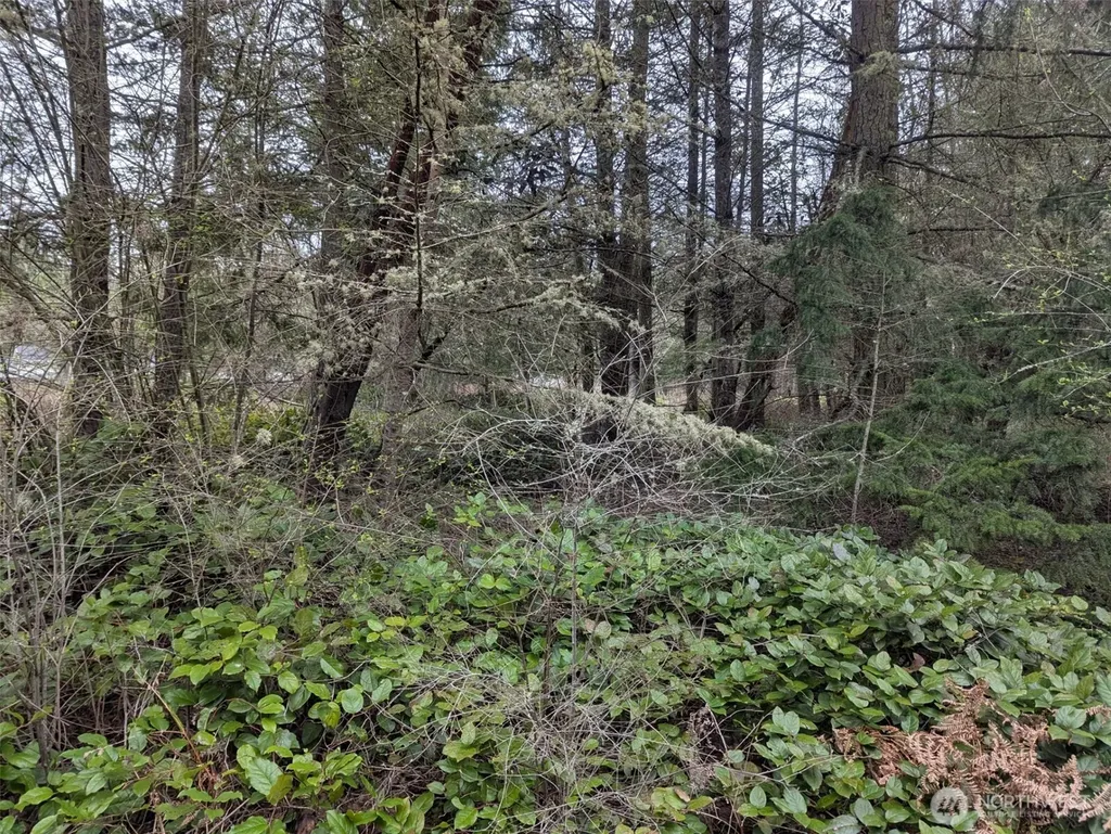 0 Critter Country Trail Sequim WA 98382