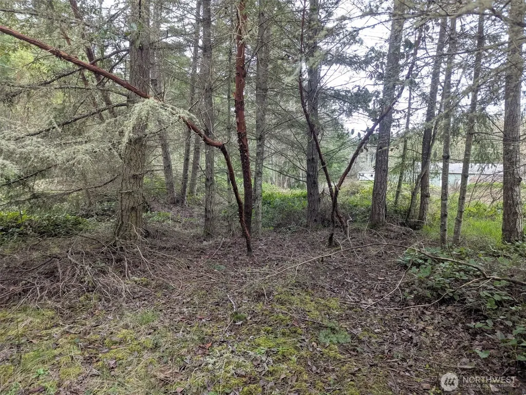 0 Critter Country Trail Sequim WA 98382