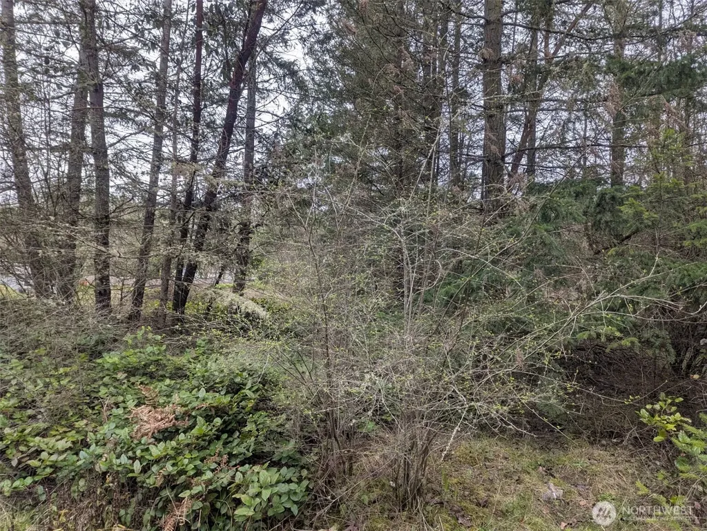 0 Critter Country Trail Sequim WA 98382