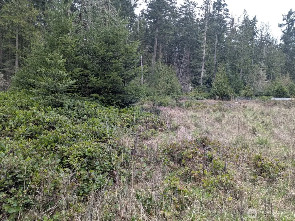 0 Critter Country Trail Sequim WA 98382