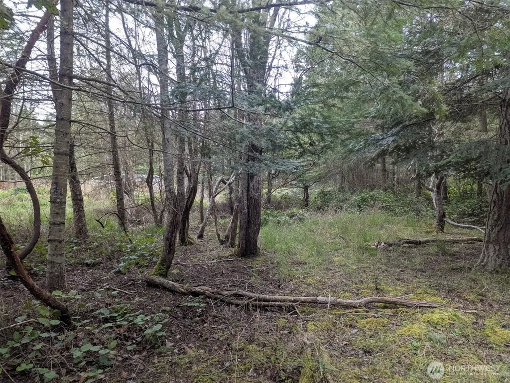 0 Critter Country Trail Sequim WA 98382
