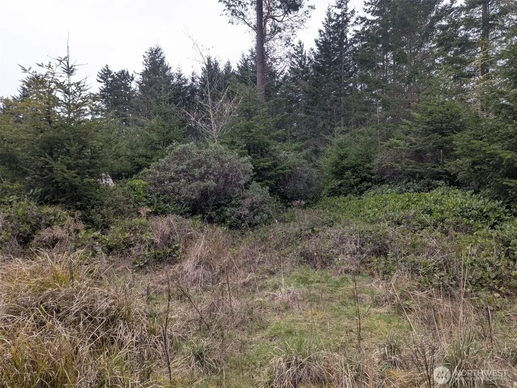 0 Critter Country Trail Sequim WA 98382