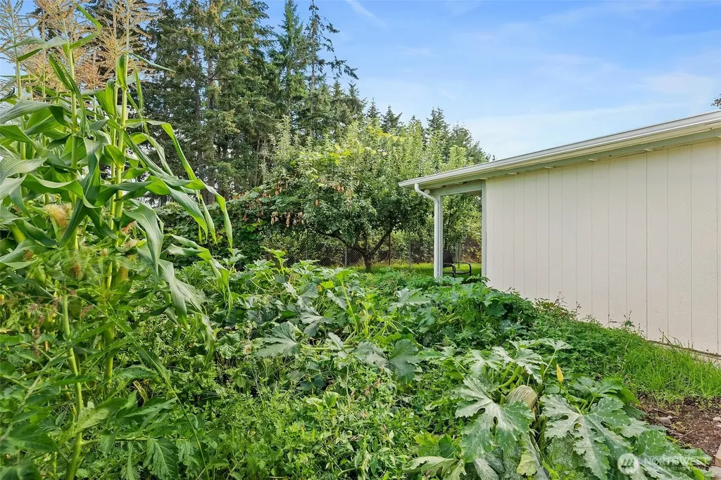 20517 10th Avenue E Spanaway WA 98387