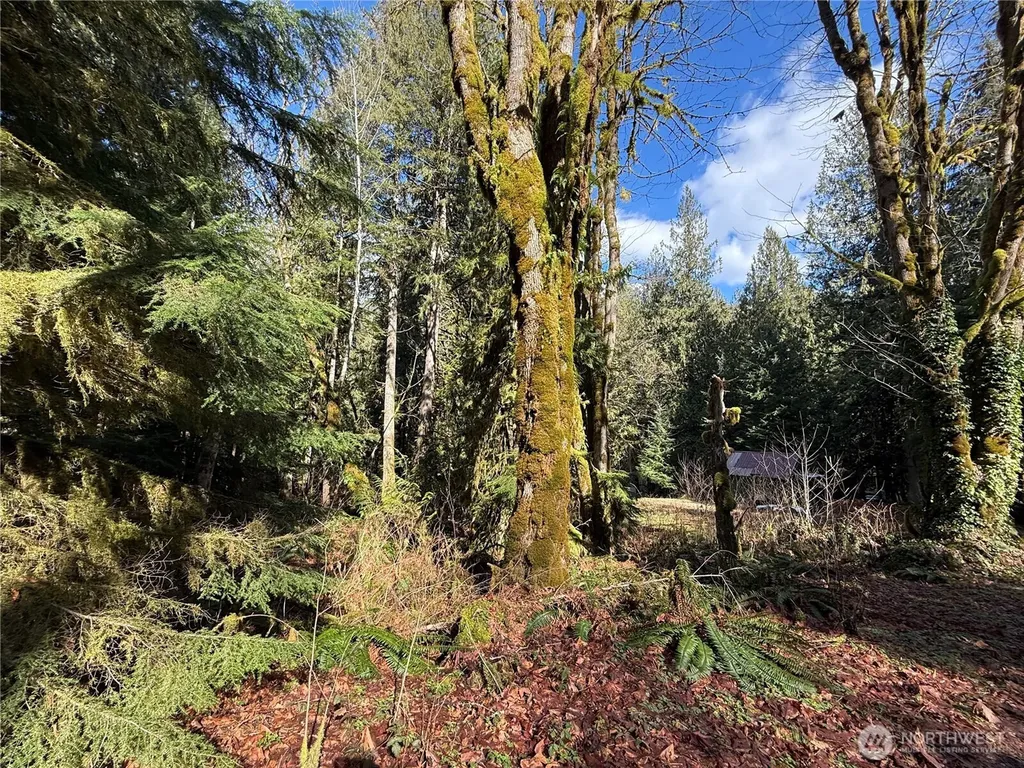 0 High Ridge Drive Marblemount WA 98267