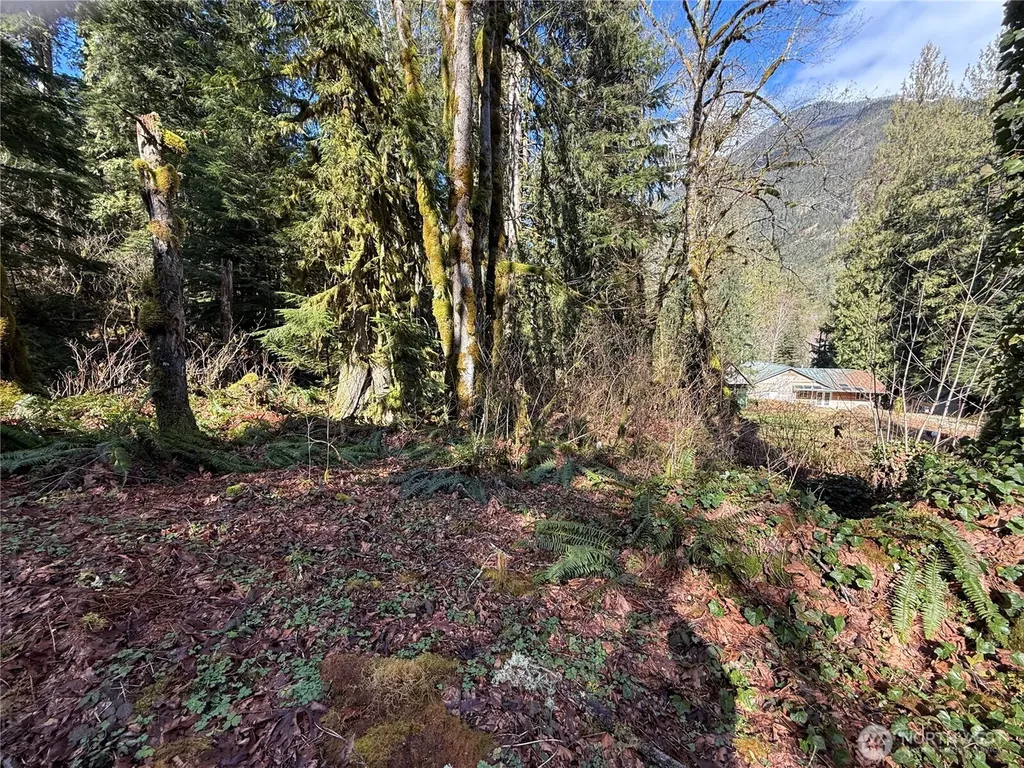 0 High Ridge Drive Marblemount WA 98267
