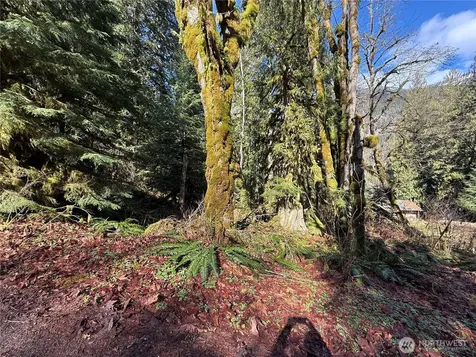 0 High Ridge Drive Marblemount WA 98267