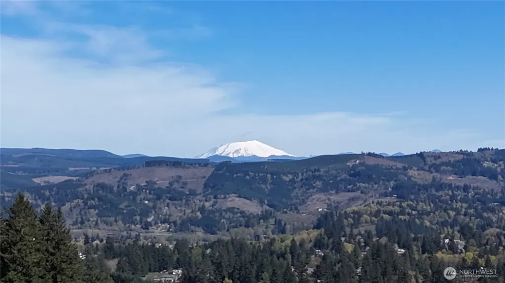 260 Livingston Heights Drive Longview WA 98632