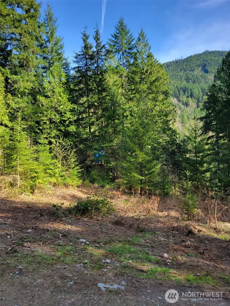 0 Acorn Lane Marblemount WA 98267