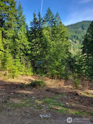 0 Acorn Lane Marblemount WA 98267