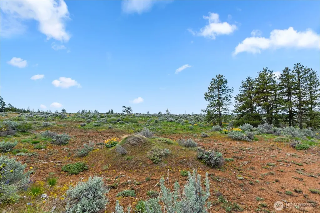 207 Falcon Ridge Road East Wenatchee WA 98802