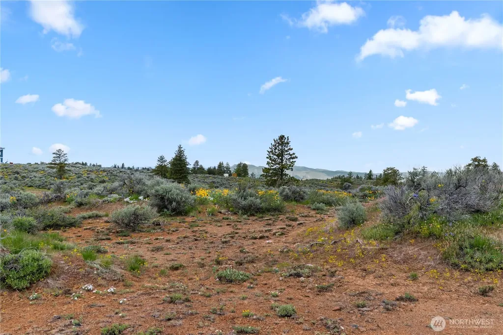 207 Falcon Ridge Road East Wenatchee WA 98802