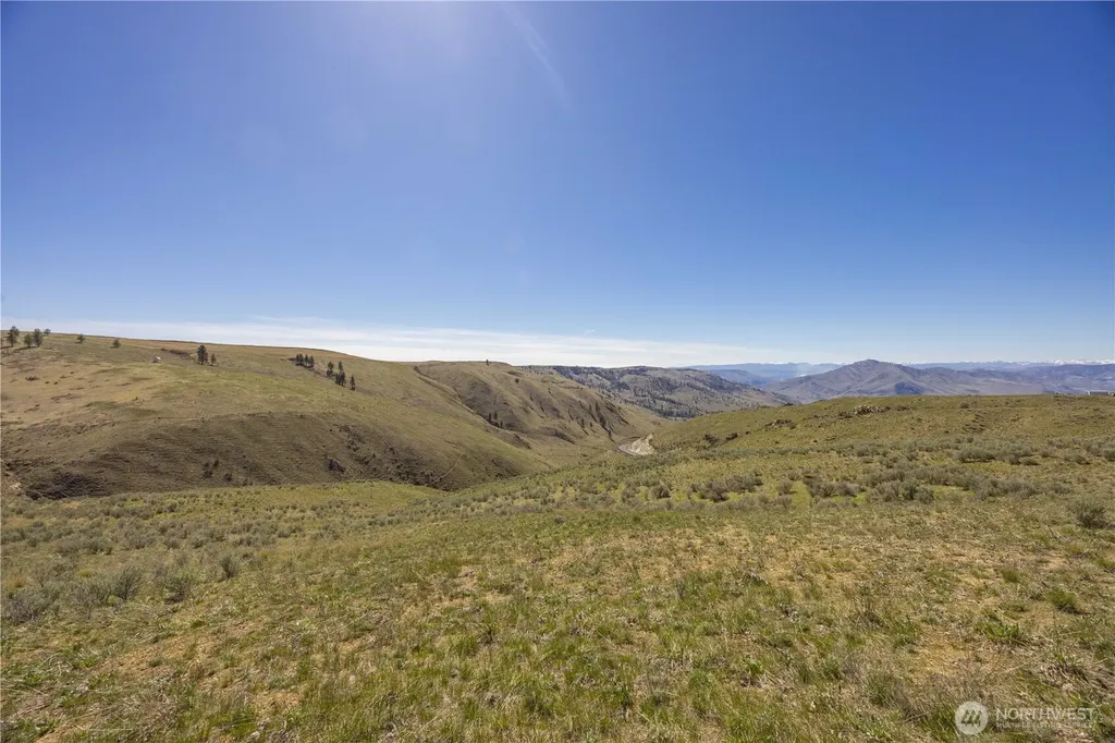 0 Blue Sky Lane Orondo WA 98843