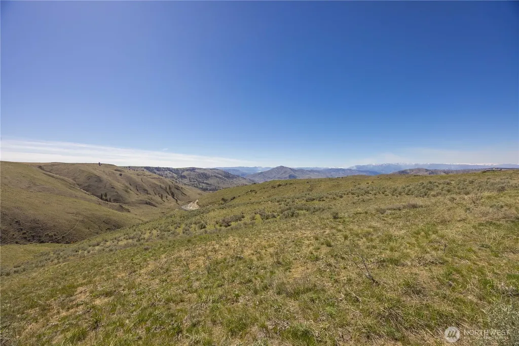 0 Blue Sky Lane Orondo WA 98843