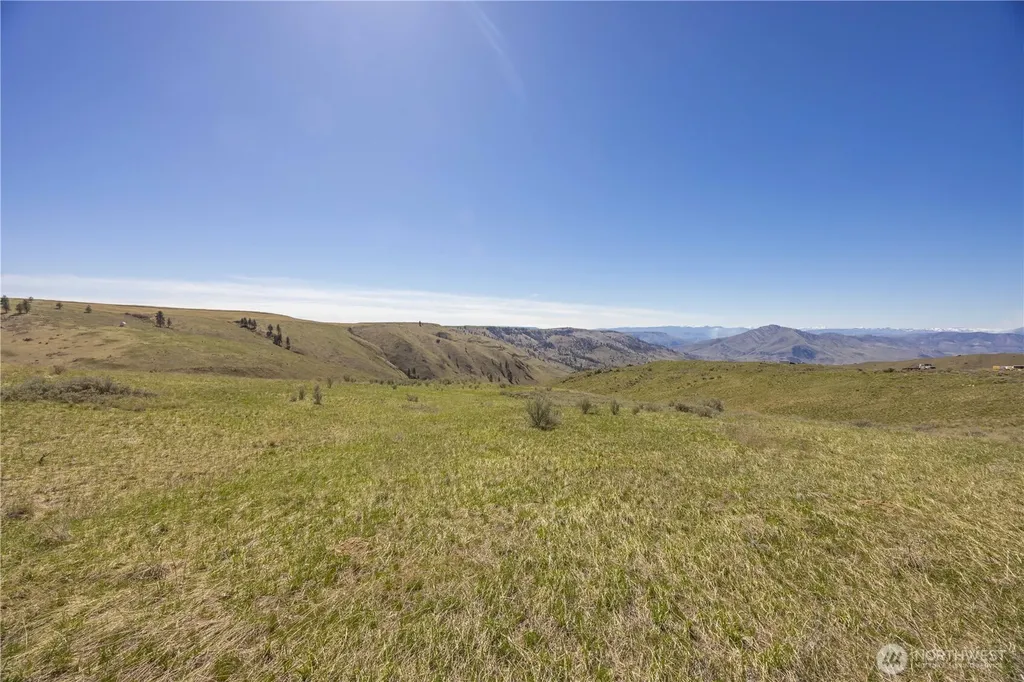 0 Blue Sky Lane Orondo WA 98843