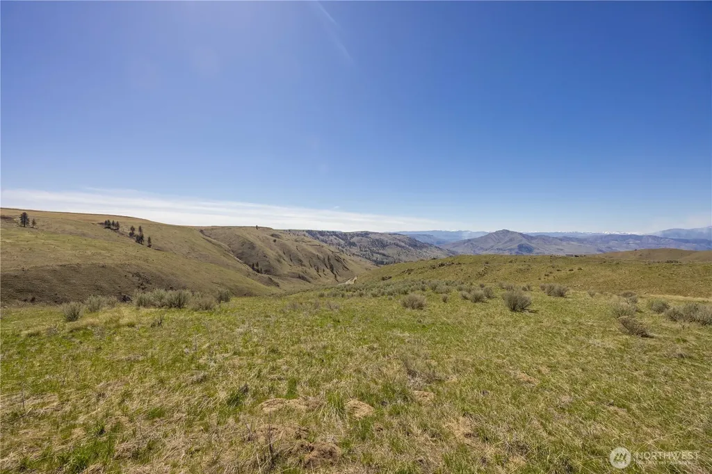 0 Blue Sky Lane Orondo WA 98843