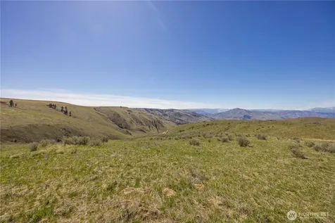0 Blue Sky Lane Orondo WA 98843