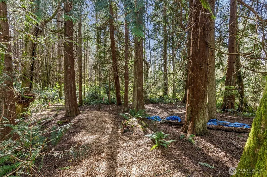 37060 Madrona Boulevard NE Hansville WA 98340