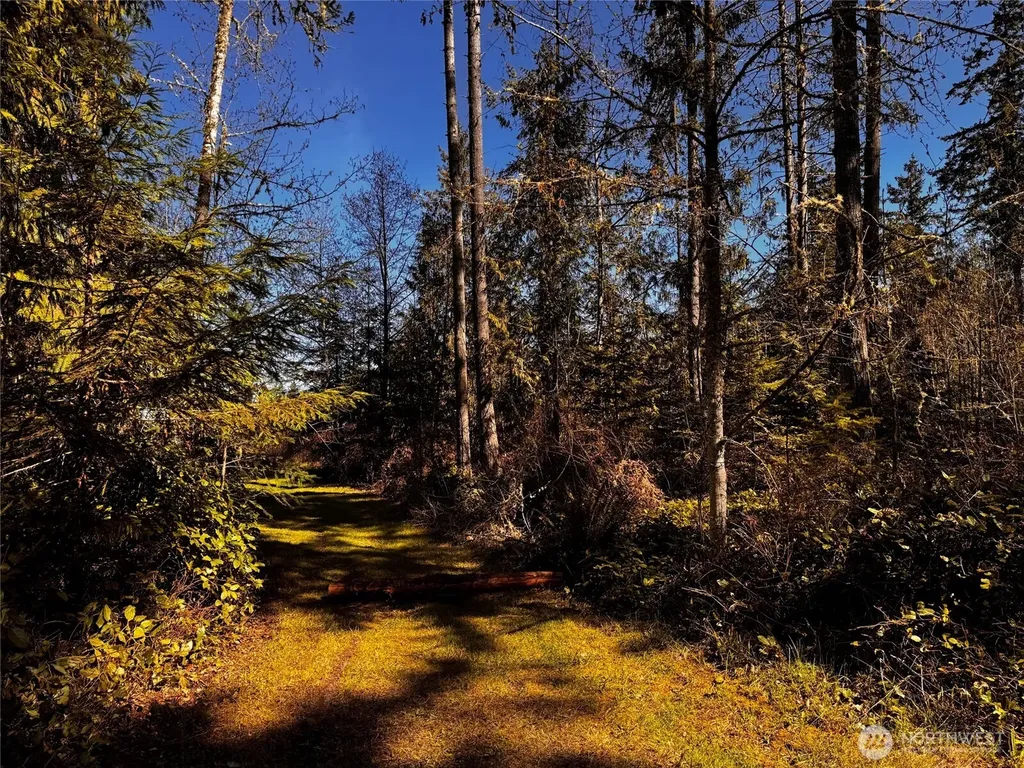 0 O'brien Lot 1 Road Port Angeles WA 98362