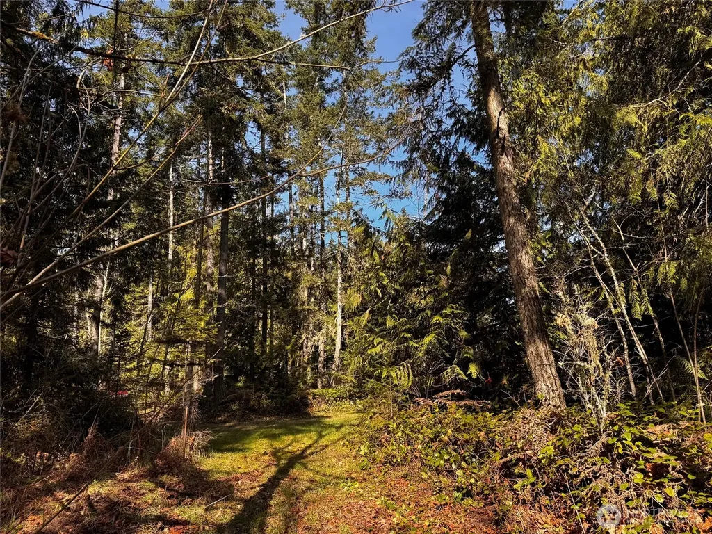 0 O'brien Lot 1 Road Port Angeles WA 98362