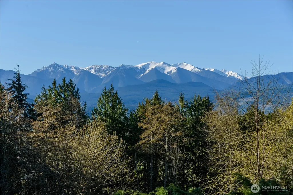 193 Snowberry Lane Sequim WA 98382