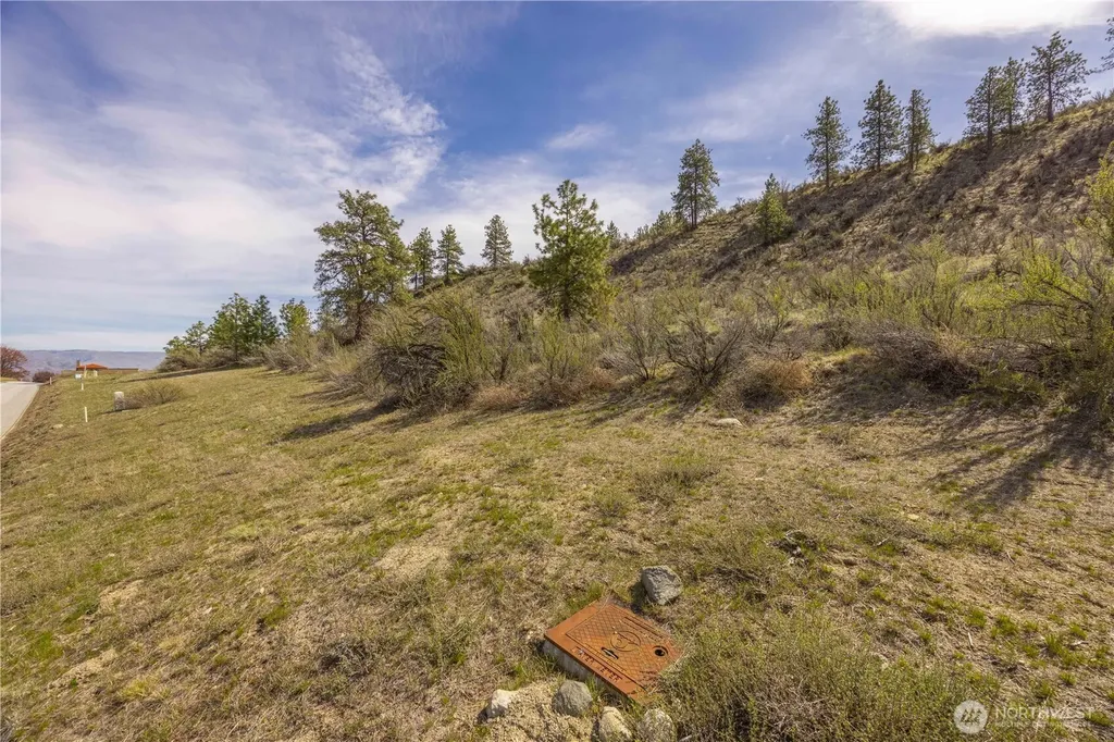 221 Bandera Way Chelan WA 98816
