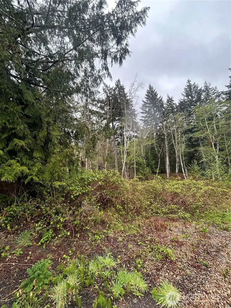 2201 Westwind Dr NW Olympia WA 98502