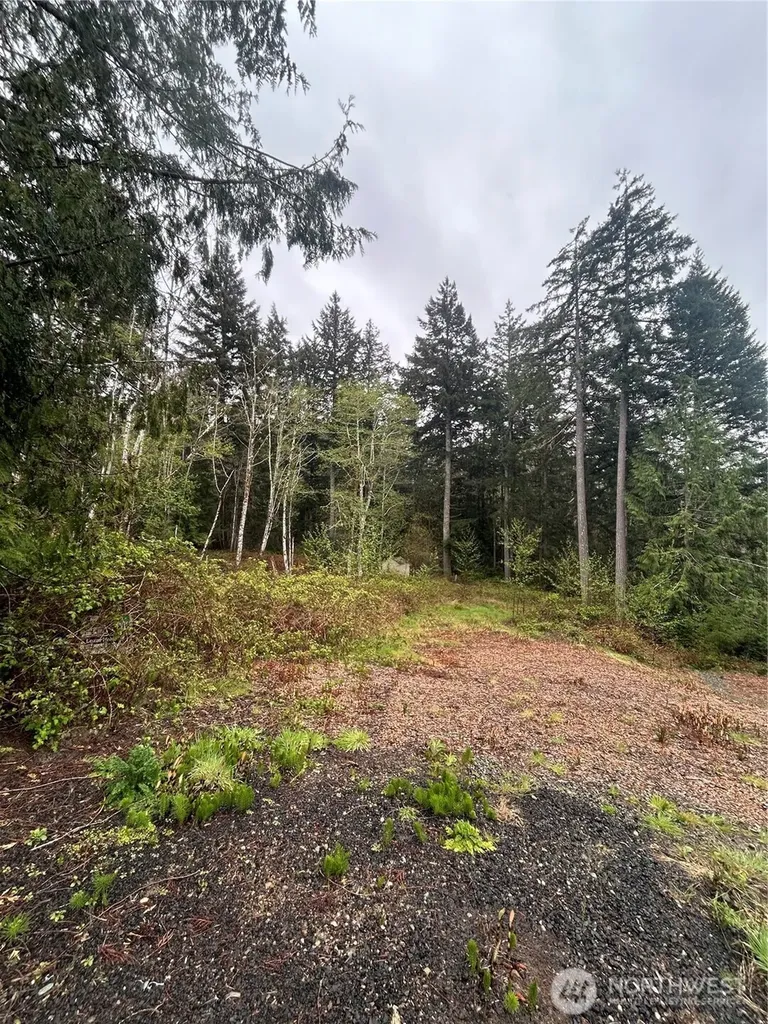 2201 Westwind Dr NW Olympia WA 98502