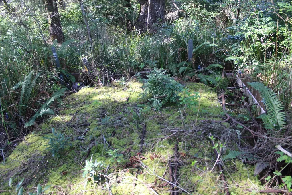 39 Dolphin Lane Copalis Beach WA 98535