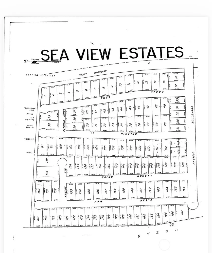 39 Dolphin Lane Copalis Beach WA 98535
