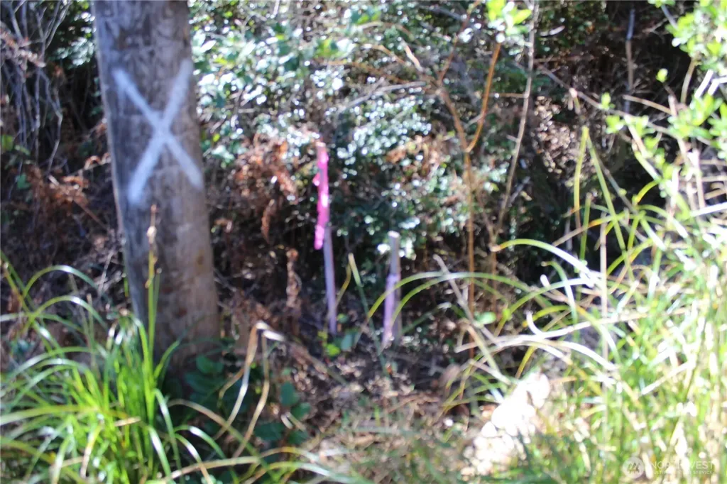 39 Dolphin Lane Copalis Beach WA 98535