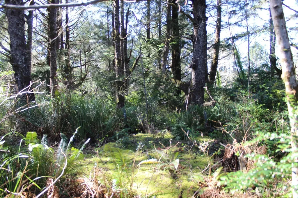 39 Dolphin Lane Copalis Beach WA 98535