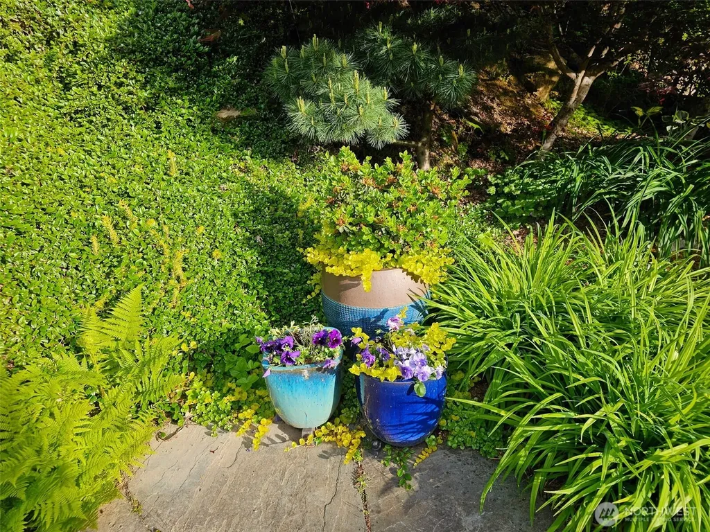 1125 Birch Falls Drive Bellingham WA 98229