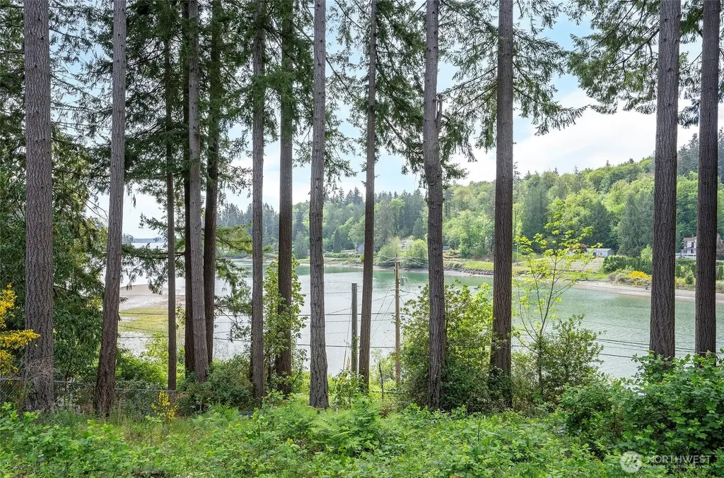 9715 148th Avenue NW Gig Harbor WA 98329