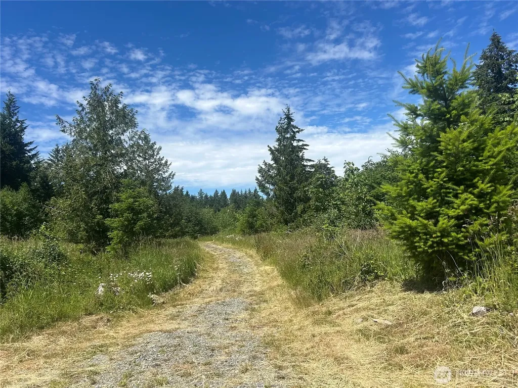 0 Russian Hill Lane SE Rainier WA 98576