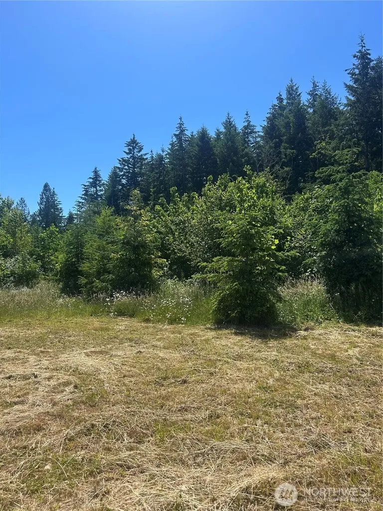 0 Russian Hill Lane SE Rainier WA 98576