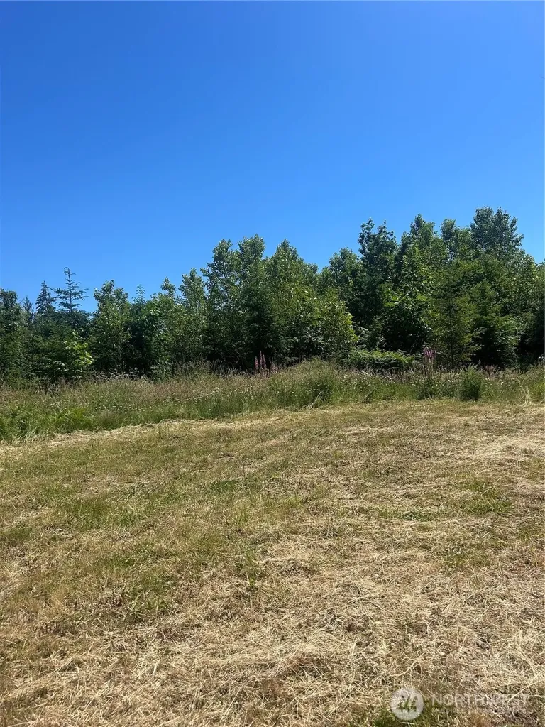 0 Russian Hill Lane SE Rainier WA 98576
