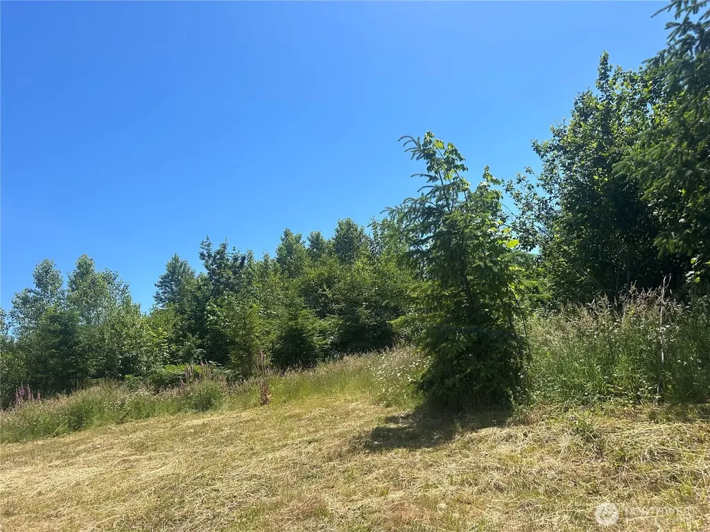0 Russian Hill Lane SE Rainier WA 98576
