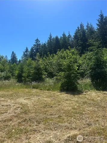 0 Russian Hill Lane SE Rainier WA 98576