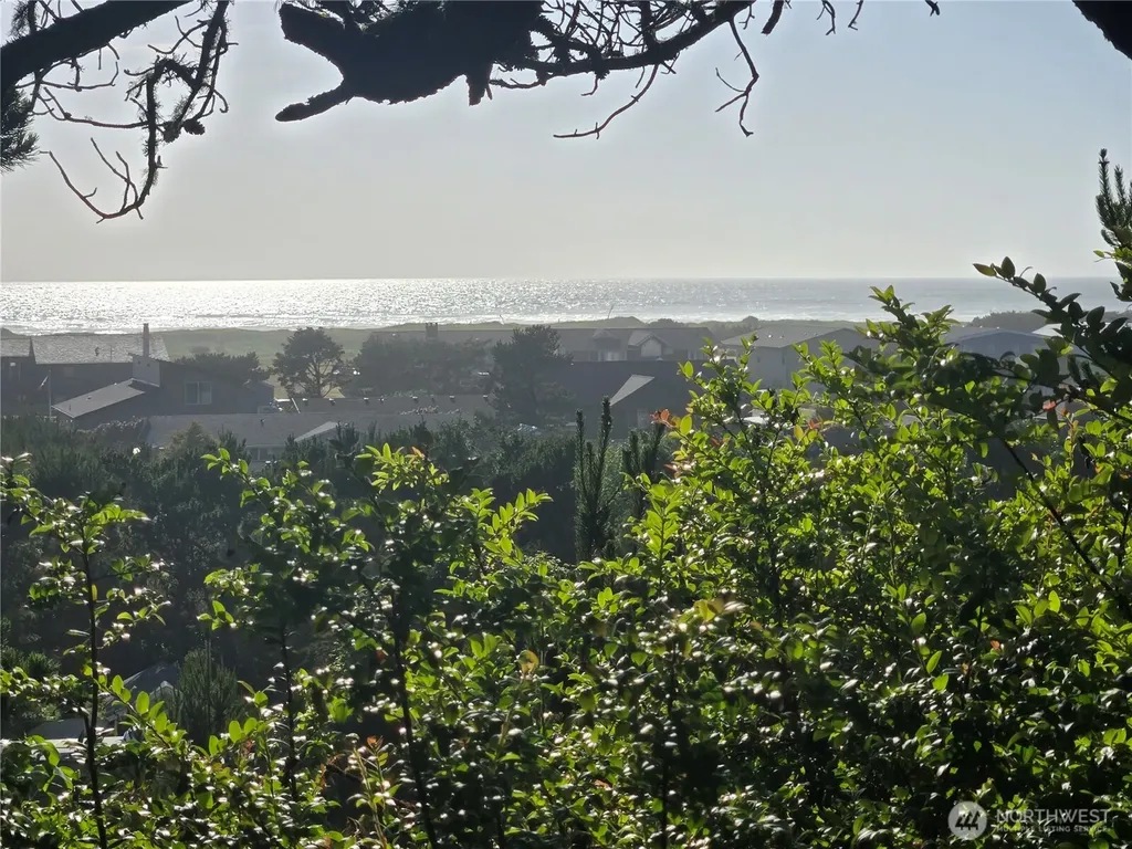 30011 J Place Ocean Park WA 98640