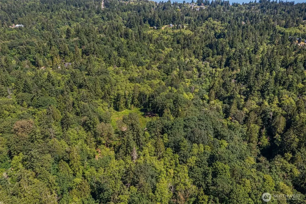 4635 Forest View Lane SE Port Orchard WA 98366