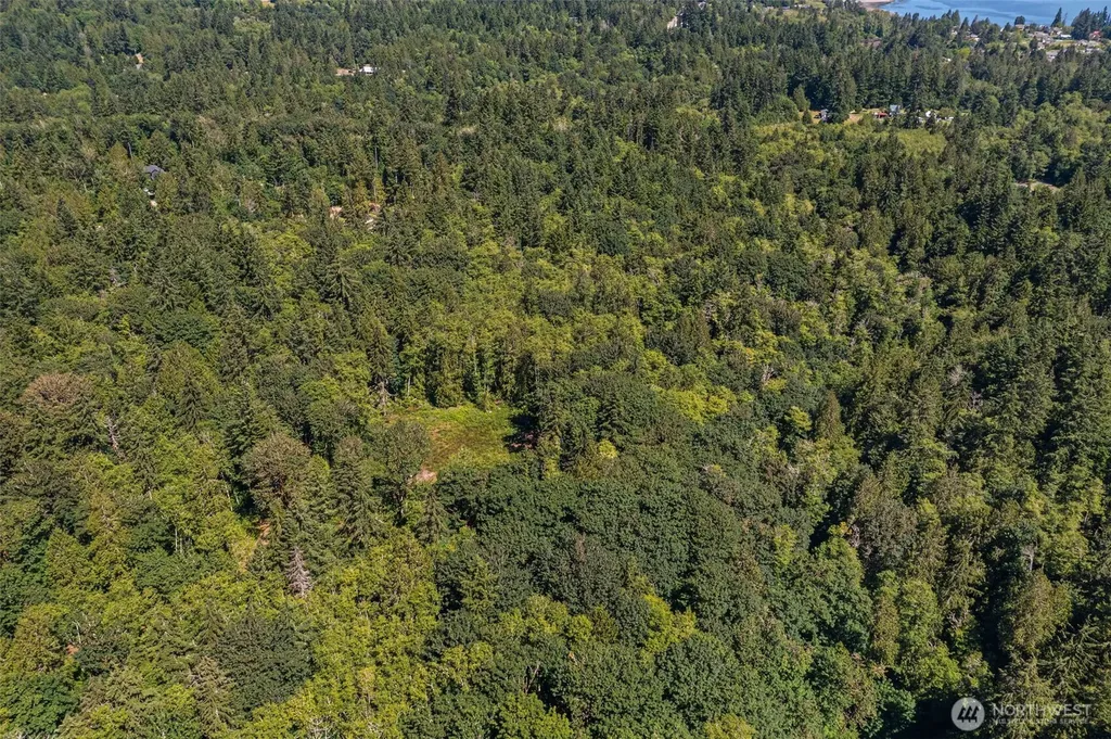 4635 Forest View Lane SE Port Orchard WA 98366