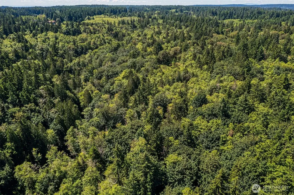 4635 Forest View Lane SE Port Orchard WA 98366