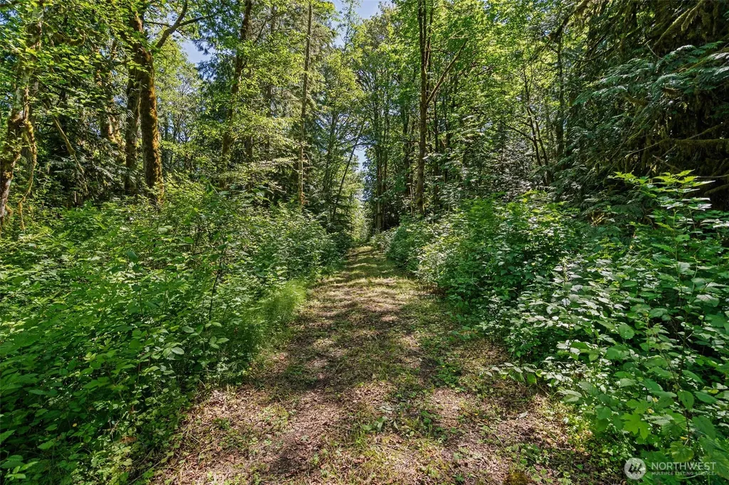 4635 Forest View Lane SE Port Orchard WA 98366
