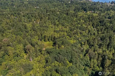 4635 Forest View Lane SE Port Orchard WA 98366