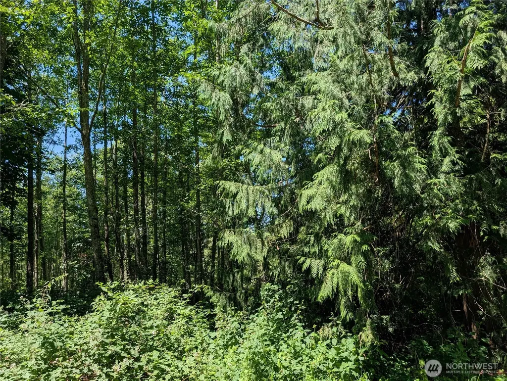 21646 Snowden Drive Mount Vernon WA 98274
