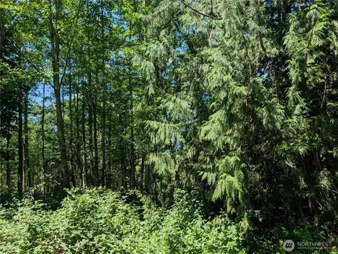 21646 Snowden Drive Mount Vernon WA 98274