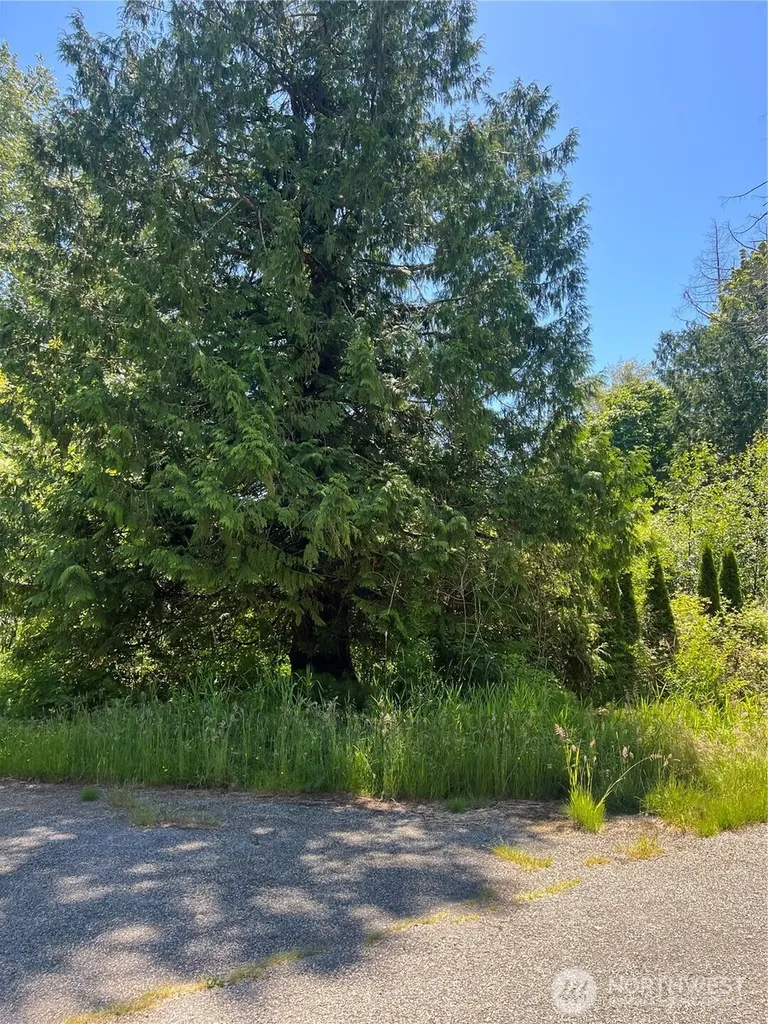 0 Jonna Drive Point Roberts WA 98281