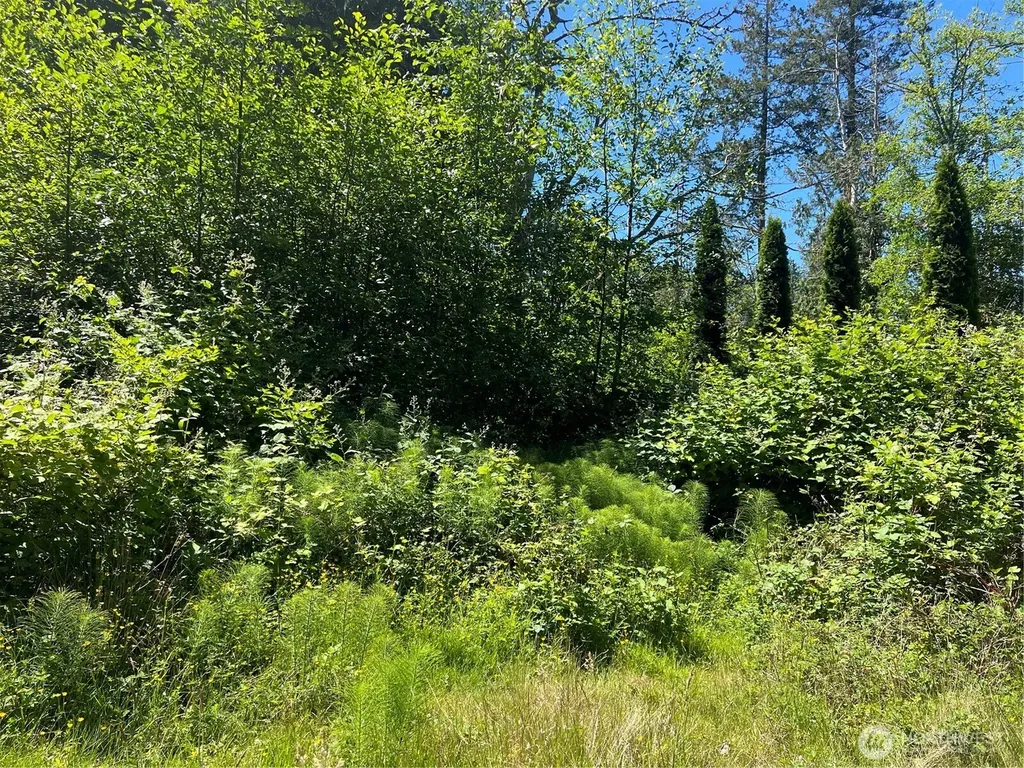 0 Jonna Drive Point Roberts WA 98281