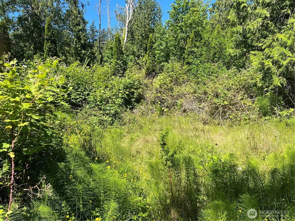 0 Jonna Drive Point Roberts WA 98281