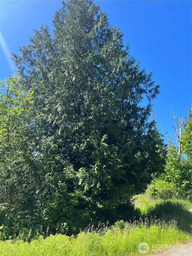 0 Jonna Drive Point Roberts WA 98281
